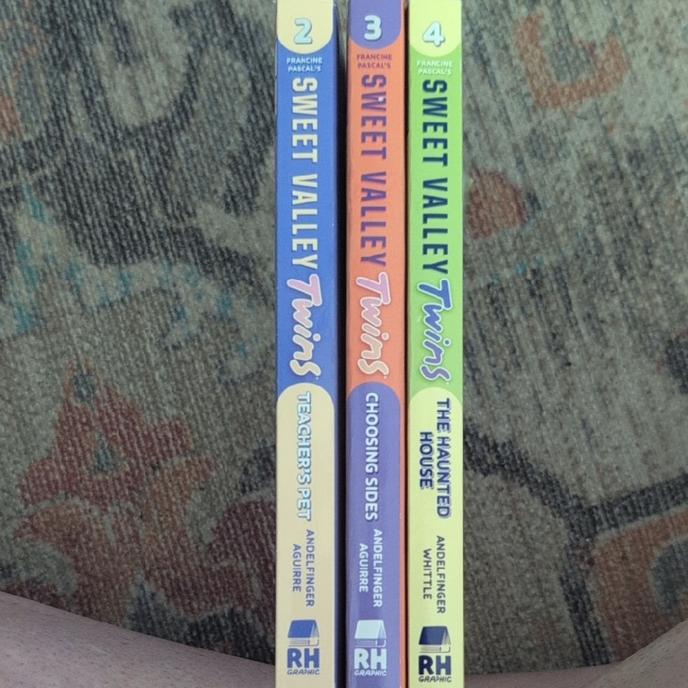 Sweet Valley Twins Book Set